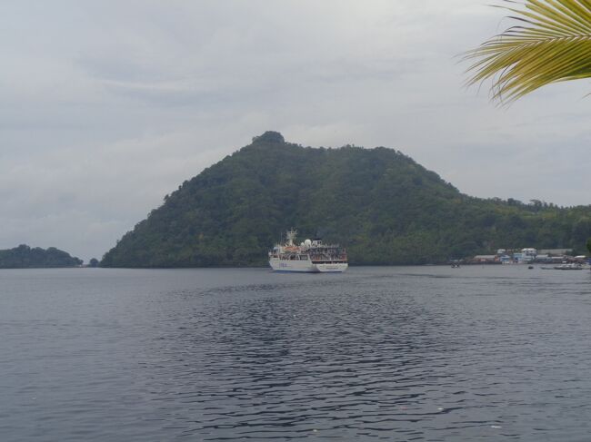 バンダ諸島は,アンボンの東南約240kmの海上に浮かぶ小さな島じまである。歴史上は,長らく世界で唯一のナツメグの生産地であったことで有名だ。世界で唯一のクローブの生産地であった北マルクの島じまとともに「香料諸島」と呼ばれ,当時の先進国であったポルトガルとスペインが,東回りと西回りから莫大な富の源を奪取する先陣争いをした。<br /><br />240kmという距離は,アンボンの港からペルニ船で行くなら8~12時間くらいの航海で着くということだ。これまで5回のペルニ船の航海をしてきたせいか,「そんなに早う着くんやったら楽チンやん」「あっという間や」などと考えてしまう。あのゴキブリ船倉に半日押し込まれるのに「楽チン」と思うあたり,相当感覚がズレてきている。<br /><br />前回の旅行記で述べたとおり,アンボンに到着した時点では,私はこのあとソロンSorong(南西パプア州)へ向かうことを考えていた。<br />ところがアンボンにいる間に,その考えは大転換されていくことになる。<br /><br />