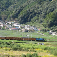 夢の吊り橋じゃない　寸又峡