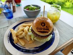 JALダイナミックパッケージのびっくりオプションを使い倒す旅