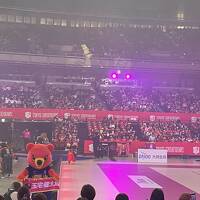 東京体育館遠征(観戦編)