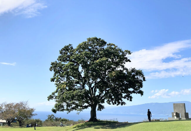 2週間ぶりのハイキングは神奈川県中郡二宮町の吾妻山へ。<br />同町の人口は2.7万人、隣の大磯町より少ないです。<br />最寄り駅のJR東海道線二宮駅は東京駅から約70分、12駅目なので都心へ通勤・通学をしている方は多いです。<br />在住者で有名な方は、コント55号(フォートラの方々は誰もが知っている)お笑いタレントの萩本欽一さん、「なんでそーなるの!」(笑)<br />360度見渡せる大パノラマの絶景は最高でした。<br />1月下旬からは菜の花畑、3月下旬からは桜満開、4月以降はツツジ満開です。<br />神奈川県内での桜満開は、吾妻山が一番きれいだと思っています。