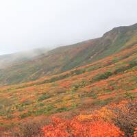 「神の絨毯」って、どんなん？～紅葉の栗駒山