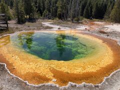 2024夏 Grand Teton & Yellowstone 国立公園の旅7 (Geyser 巡り-2)