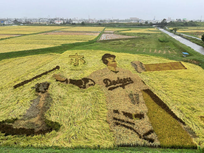 美味しいもの、癒しを求めて・・・<br /><br />９／１３　盛岡<br />９／１４　古遠部温泉、青森市<br />９／１５　弘前、青森市<br />９／１６　十和田湖　<br />９／１７　奥入瀬渓流、八戸<br />９／１８　十和田市、八戸<br />９／１９　久慈、宮古<br />９／２０　遠野、栗駒山<br />９／２１　花巻　<br />９／２２　紫波、盛岡