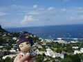 イタリア旅行④ ジョジョ旅の仕上げにカプリ島