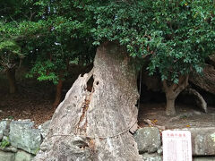 佐賀市北部(旧大和町)：地名｢佐賀｣発祥の地、江藤新平ゆかりの地巡り。