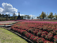 初めてのセグウェイ体験をひるがの高原で