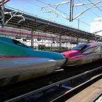 仙台で牛タンと郡山の高級居酒屋＠未踏の東北第3弾は福島へ　その2