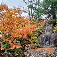 わが旅に一度のブレなし（山形蔵王）