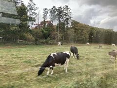 秋の北海道を満喫