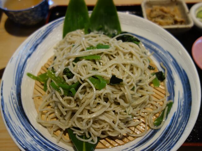 道の駅日光でたべた「葉わさびそば」はワサビが効いていた。