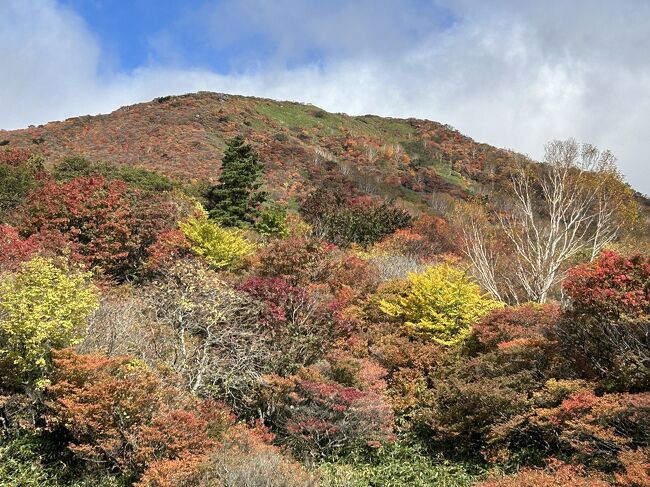 那須岳の紅葉を求めてリベンジ！天気は良かったものの強風で始発からロープウェイが運休。遠くまで来たのに・・・お昼近くにやっと動き出しました。そんなんだったので予定は多いに狂いまくり、帰りに温泉に寄る予定が時間の都合でスキップ。<br />姥が平の紅葉は終盤でしたがロープウェイ山麓駅まわりが紅葉ピーク、って感じでした。<br />