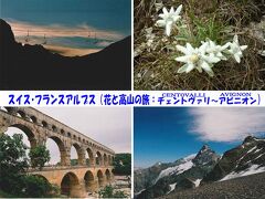 ペテロのアトリエ[スイス･フランスアルプス 花と高山の旅：チェントヴァリ～アヴィニヨン]