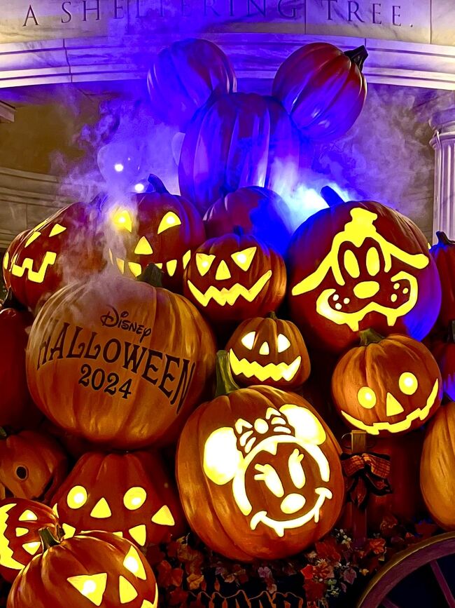 観劇ついでのディズニー旅、今回はハロウィンのシー&ランドです☆彡<br /><br />ハロウィン時期は1デーパスポートのお値段がうなぎのぼりで、インパした木曜は@9400、金曜は@9900(土日はなんと@10900!!)もするのですが、ショーやパレードが少なくなったり規模が縮小されている今、ショーパレ派の私にはコスパが悪く、満足度低めなインパとなりました(´・ω・`)ションボリ…<br /><br />今回のシーでの目的は2つ。<br />①ダッフィーとシェリーメイが登場するハロウィングリーティングを観る<br />②前回買いそびれたもふもふたちの壁掛け時計を購入<br /><br />サクッとミッションクリアして、のんびり過ごしました。<br /><br />2日目のランド旅行記<br />https://4travel.jp/travelogue/11936940<br /><br />3日目のマティス展&星組観劇<br />https://4travel.jp/travelogue/11936571<br /><br /><br />《旅程・料金》<br />★10/17(木)<br /> 伊丹9:30ー羽田10:40 JAL特典航空券6300マイル+空港使用料@710<br /> 空港リムジンバス@1300<br /> ディズニーシー1デーパスポート@9400<br /> JR東日本ホテルメッツプレミア東京ベイ新木場 禁煙スーペリアダブル(ベンチ)Yahoo!トラベル(一休)2泊@39420 <br />☆10/18(金)<br /> ディズニーランド1デーパスポート@9900<br />☆10/19(土)<br /> 『記憶にございません!』@東京宝塚劇場 S席@9500<br /> 羽田18:45ー伊丹19:55 JAL特典航空券6200マイル+空港使用料@710