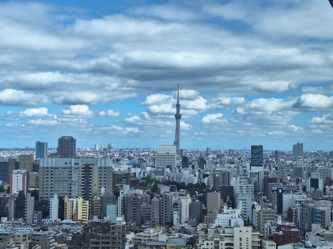 文化の足跡をたどる～「文の京」に山あり谷あり学びあり