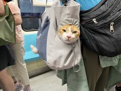 女子旅台湾2日目後編～統一時代百貨、Mia C'bon台北101、脆皮鮮奶甜甜圈、雙月食品社