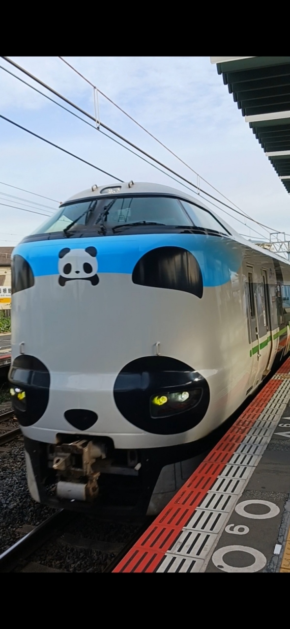 家族で白浜に車組と電車組に分かれて出発です<br />電車組はくろしおパンダ号に乗り白浜駅に到着後<br />アドベンチャーワールドで本物のパンダに会って感激<br />車組は直接ホテルに直行<br /><br />ホテルはインフィニート ホテル&スパ 南紀白浜<br />7人での宿泊の為,2部屋を一休で予約<br />オーシャンビュー和洋スイート【禁煙】2F (和洋室) (85.4㎡) 5人<br />温泉露天風呂付オーシャンビュー・ラナイスイート(41.9㎡) 2人<br />朝夕食付<br /><br />ゆっくり温泉に浸かり,家族団らん楽しい時間でした<br />