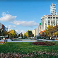 静岡発・紅葉真っ盛りの札幌周辺１泊２日を楽しんできました♪2024