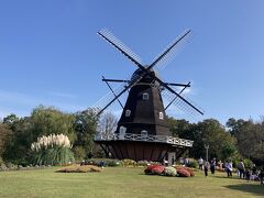 ふなばしアンデルセン公園は船橋市民デーは、船橋市民だけでなく来園者全員を無料開放と太っ腹なんだね、それで行ってきました。