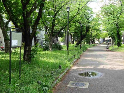 堀辰雄紀行 フィールドノート1 あたいは音痴』浅草(東京)の旅行 堀辰雄紀行 フィールドノート1 あたいは音痴』浅草(東京)の旅行