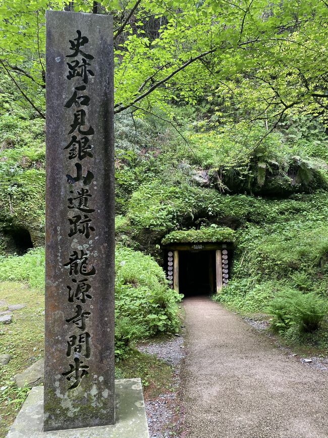 リベンジ島根旅行　その2<br />三瓶山へ行くというが山へ登るわけとかでは<br />ありませぬ。<br /><br />この旅行記の続き<br />https://4travel.jp/travelogue/11927334<br />・稲佐の浜<br />・日後碕神社<br />・島根ワイナリー<br />・いにしえの宿　佳雲<br />・出雲大社<br />-----<br /><br />世界遺産・石見銀山<br />さんべ縄文の森ミュージアム（三瓶小豆原埋没林公園）