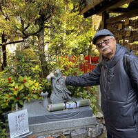 辰年のパワースポット伏見神寶神社