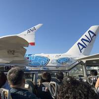 東京での同窓会に前日入りして、飛行機見物（成田　オープントップバスツアー編）（2024年10月）