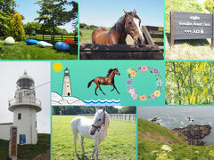 道の駅サラブレッドロード新冠