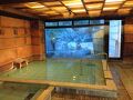 20241103 川治の紅葉はあと2周間くらい