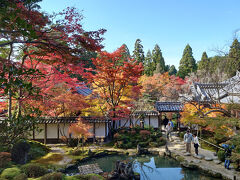 滋賀の紅葉日帰り旅★湖東三山めぐり＋永源寺