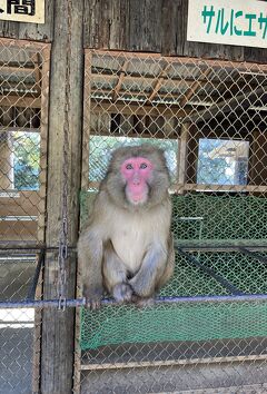 ドライブ・ツーリング