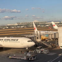 新千歳日帰り→羽田東横イン泊→福岡1泊2日ツアー　福岡へ行くよ