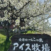 福島でお花見そしてグルメ2