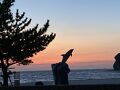 【和歌山県と大阪】3泊4日の旅　2日目 めでたい電車で加太へ。円月島の夕日を見て白良浜に宿泊
