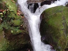 東北６県の旅（奥入瀬（おいらせ）渓流編）