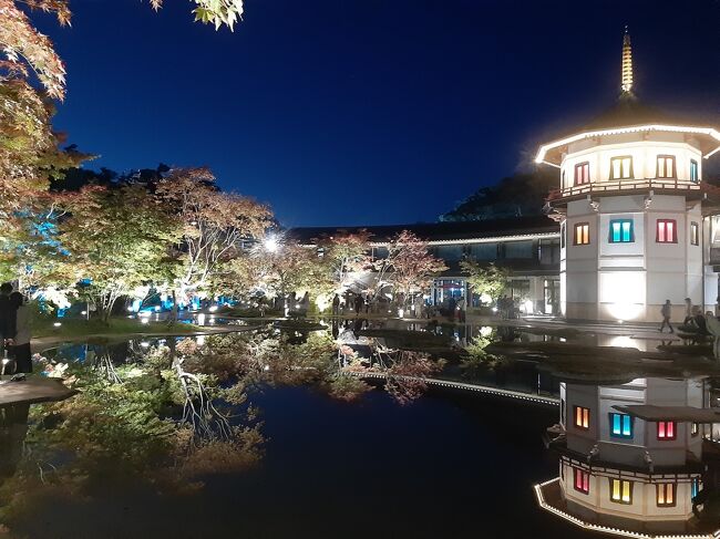11月初旬の3連休に1日足して、今年最後の東北に行きました。<br />冬タイヤ使わない派の自分にとって、冬の東北は車で行かれない場所であり、年内はもう電車でも行く予定がないためです。<br /><br />あちらこちらで紅葉を見つつ、東北の味やデパートに売ってる食器などを大人買いする旅行です。<br /><br />旅程は以下。<br /><br />10/31 前日移動<br />11/01 AM:ワーケーション、PM:裏磐梯/五色沼/飯坂温泉<br />11/02 仙台<br />11/03 米沢、川西、長井、蔵王<br />11/04 名取、仙台、松島<br /><br />この旅行記は、最終日の観光です。<br /><br />松島のライトアップを見ることが目的で、お昼ぐらいまでは仙台や名取エリアを観光し、その後電車で松島に向かって歩きまわりました。