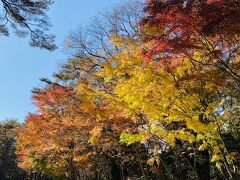 2024年11月 秋の軽井沢で紅葉堪能の旅