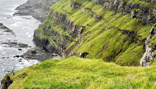 スエーデン　フィンランド　ノルウェイ そして フェロー諸島　7月2８日　半日トレッキング
