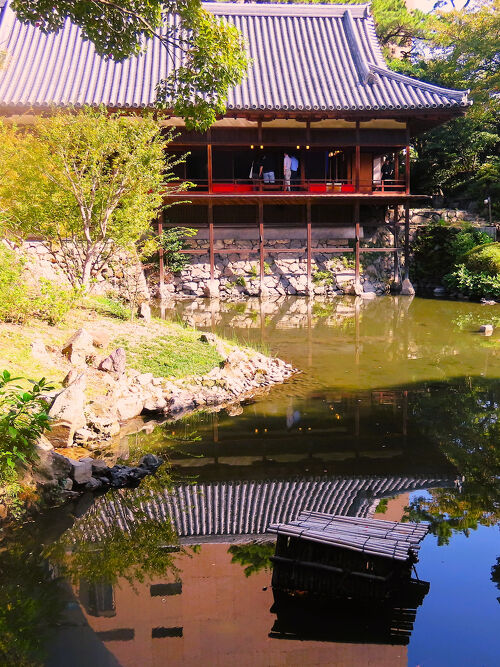 ☆値下げ☆福山市在住の書道家小倉芳園先生の書【如是】掛け軸 福山市在住の書道家小倉芳園先生の書【如是】掛け軸