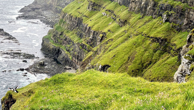 スエーデン　フィンランド　ノルウェイ そして フェロー諸島　7月2９日　フェロー諸島　→　コペンハーゲン空港