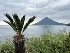 鹿児島満喫の旅3/4　枕崎のかつおと指宿砂風呂初体験