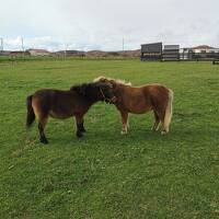 2024年晩秋の北海道　前編（新千歳空港から日高）