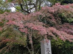 京都大原へ：11月上旬、紅葉狩りには少し早かった