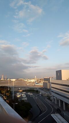 旅行体験記2024～泉佐野～150回目記念スペシャル！空港が有名な都市で新たな楽しみ方再発見！
