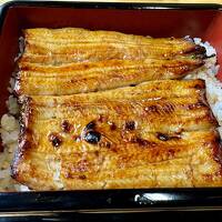 北区赤羽で昭和的なホテルに泊まる。　昼間は相変わらずシステム不明の鰻屋＆王子の飛鳥山公園＆にゃんず新着