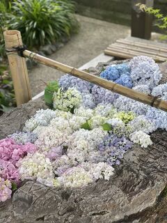 はじめてのひとり旅⑦～香里園での素敵時間と阿智神社～
