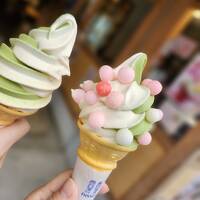 クーポン使ってお得に香川