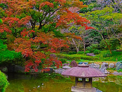 皇居東御苑-3　二の丸庭園 など　秋/紅葉　散策　☆大手門～雑木林～諏訪の茶屋～平川門