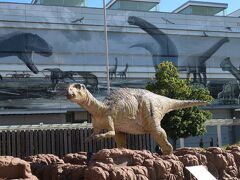 元同期3人､福井に集合！～ 越前がに解禁だけれど蟹がない?!