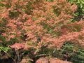 歩いて！食べる！　俵山温泉の里山でのんびりガストロノミー・ウォーキング！